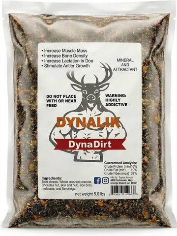Dirt Single